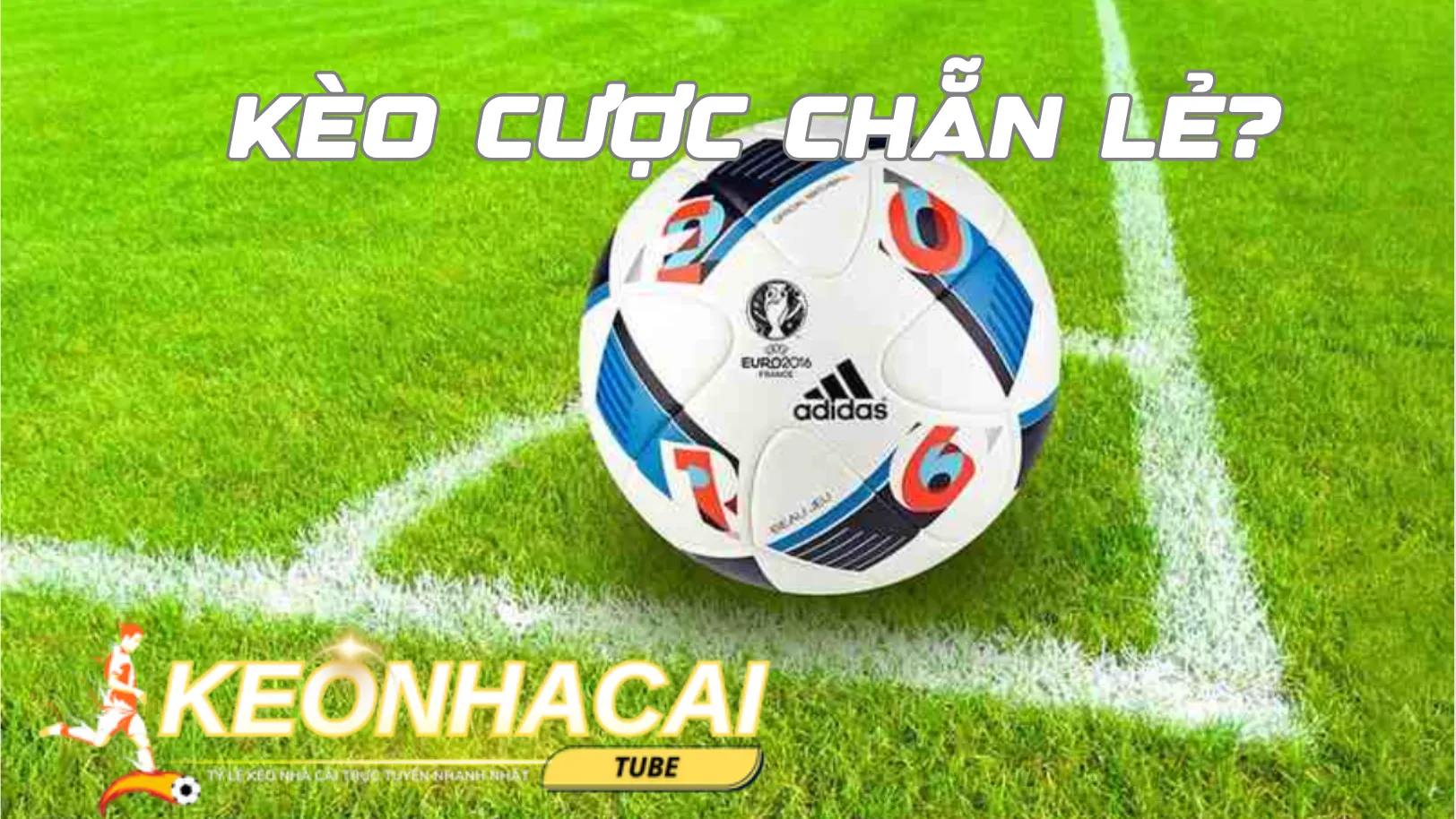 Cần có kinh nghiệm để tham gia cá cược chẵn lẻ Cần có kinh nghiệm để tham gia cá cược chẵn lẻ