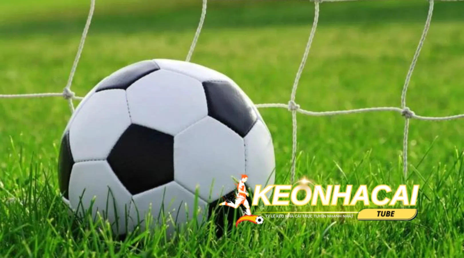 Nên chọn lựa nhà cái uy tín để tham gia đặt cược kèo bóng đá Nên chọn lựa nhà cái uy tín để tham gia đặt cược kèo bóng đá