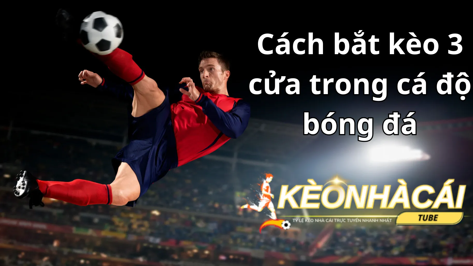Trau dồi phương pháp bắt kèo từ cao thủ chuyên nghiệp và các chuyên gia Trau dồi phương pháp bắt kèo từ cao thủ chuyên nghiệp và các chuyên gia