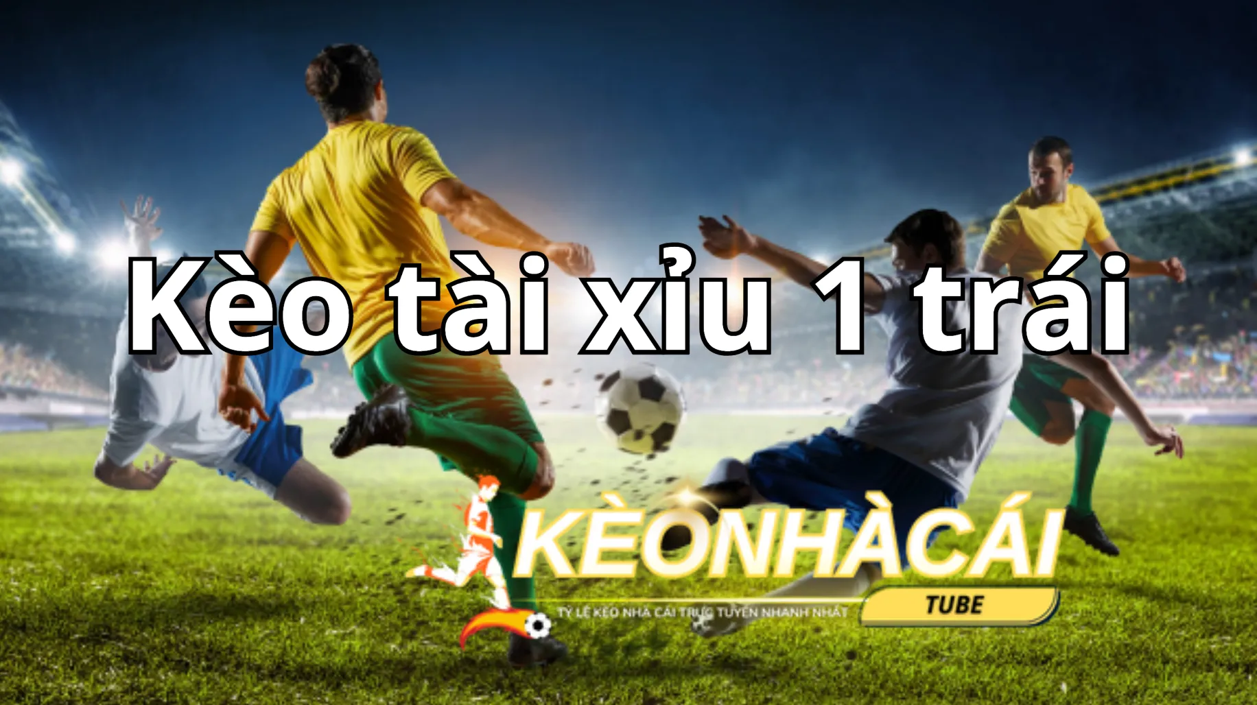 Kèo tài xỉu bóng đá 1 trái được nhiều người chơi lựa chọn Kèo tài xỉu bóng đá 1 trái được nhiều người chơi lựa chọn
