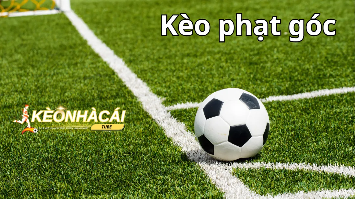 Có rất nhiều loại kèo phạt góc để bạn lựa chọn khi chơi cá độ Có rất nhiều loại kèo phạt góc để bạn lựa chọn khi chơi cá độ