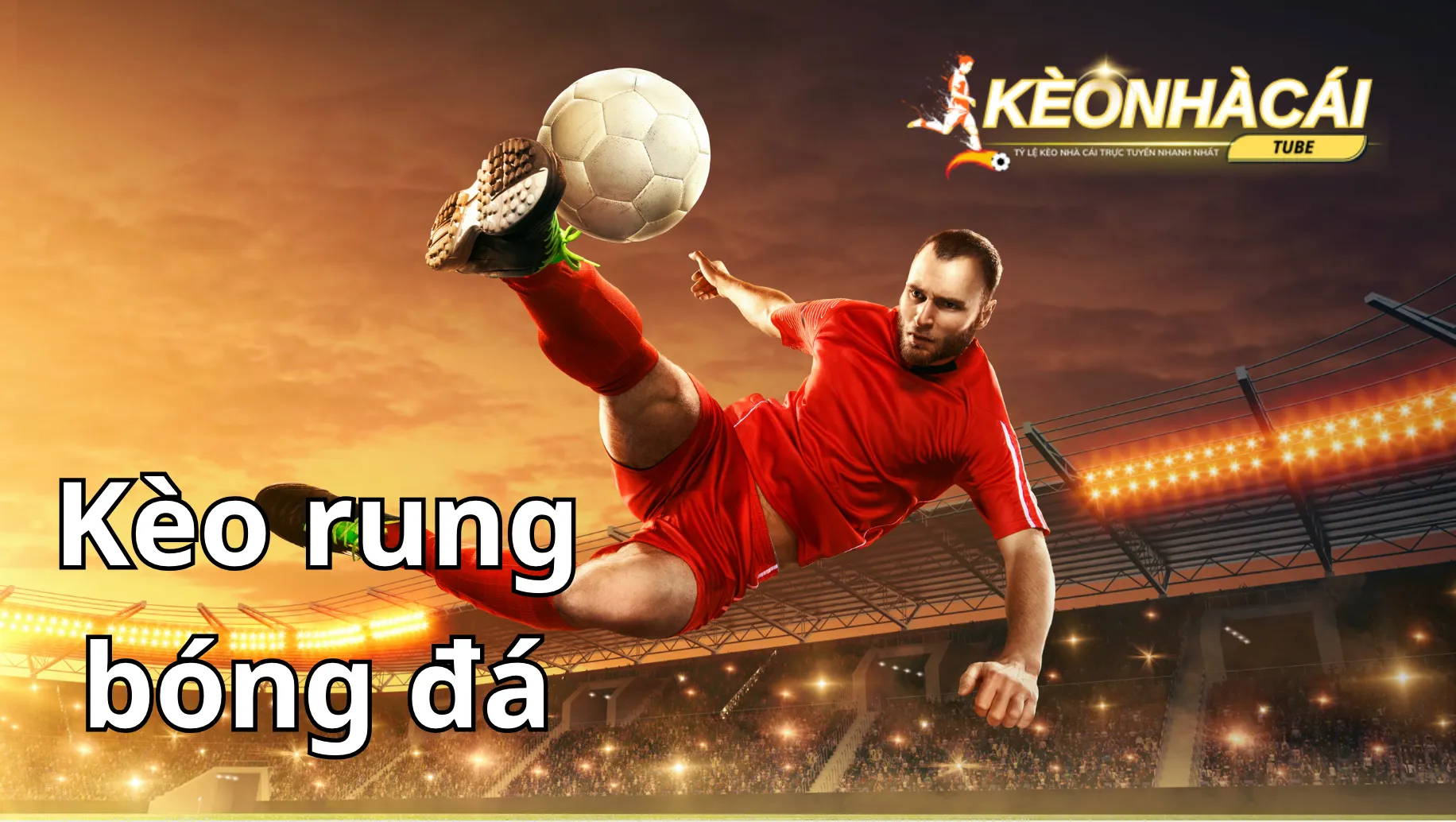Nên chọn lựa nhà cái uy tín để tham gia cá cược kèo bóng rung Nên chọn lựa nhà cái uy tín để tham gia cá cược kèo bóng rung