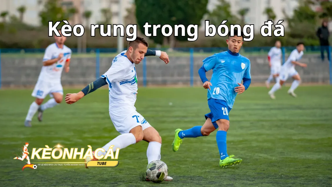 Nắm bắt luật chơi được áp dụng để cá cược thành công Nắm bắt luật chơi được áp dụng để cá cược thành công
