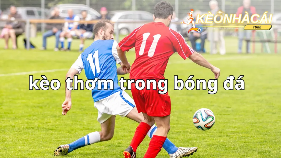 Dựa vào thông tin giải đấu lớn để tìm kiếm kèo thơm Dựa vào thông tin giải đấu lớn để tìm kiếm kèo thơm