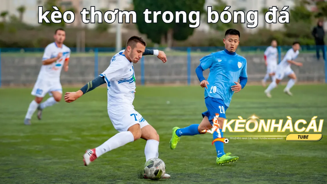 Thông tin các trận đấu bóng đá vô cùng quan trọng Thông tin các trận đấu bóng đá vô cùng quan trọng