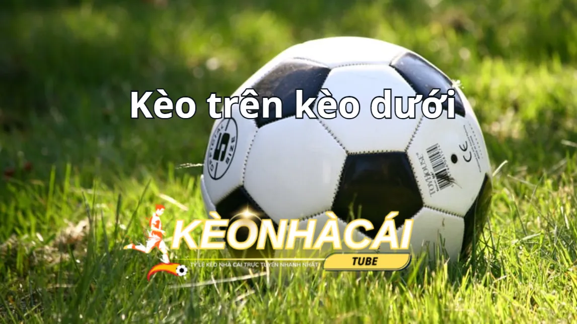 Thông tin cần biết về kèo trên và kèo dưới Thông tin cần biết về kèo trên và kèo dưới