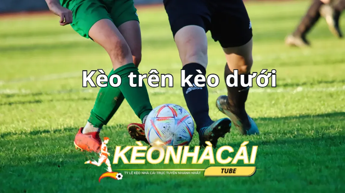Tìm hiểu kèo trên dưới với nhiều loại khác nhau Tìm hiểu kèo trên dưới với nhiều loại khác nhau