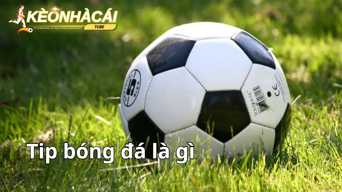 Thông tin cơ bản về Tip bóng đá Thông tin cơ bản về Tip bóng đá