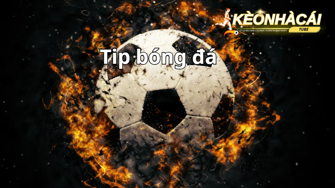 Các loại Tip bóng đá cơ bản Các loại Tip bóng đá cơ bản