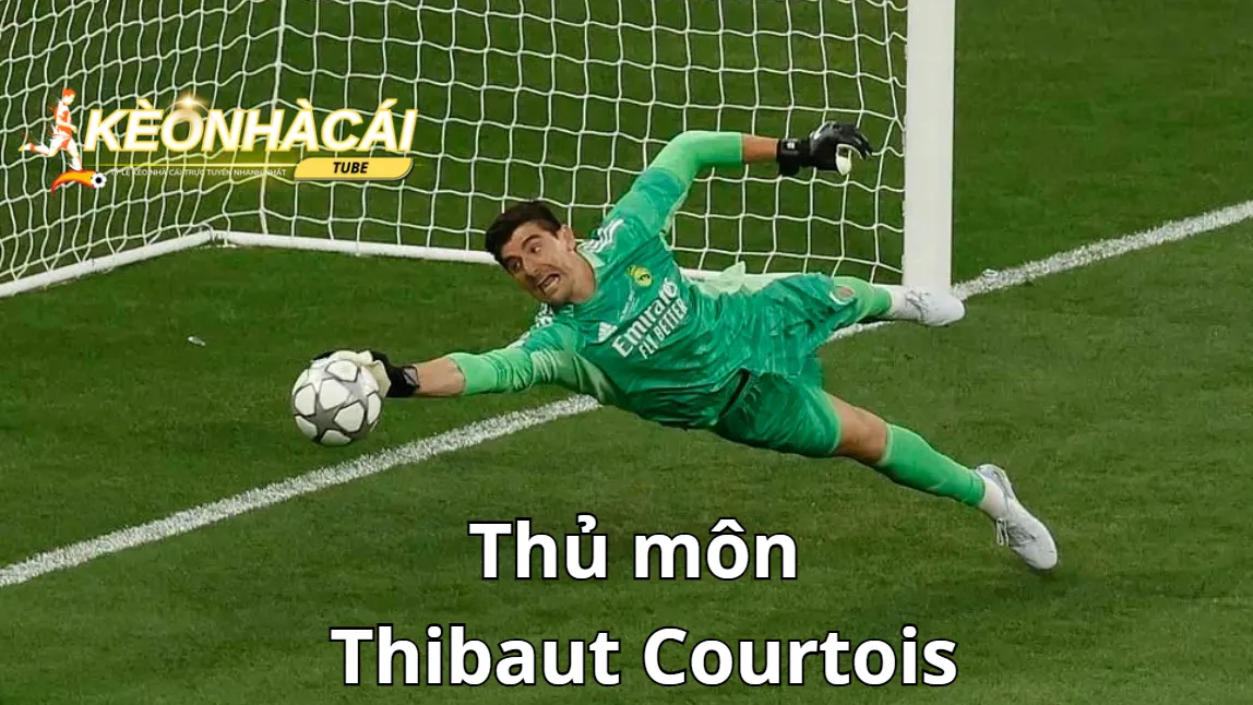 Thủ môn Thibaut Courtois (1m95) Thủ môn Thibaut Courtois (1m95)