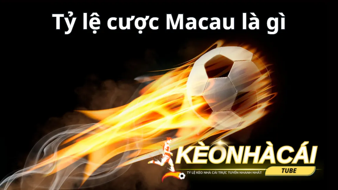 Thông tin về tỷ lệ kèo Macau cân bằng Thông tin về tỷ lệ kèo Macau cân bằng